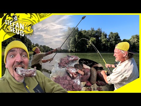 Catfish with sausage | Fishing with catfish sausage on a small river | Does this bait change ever...
