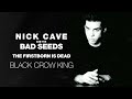 Nick Cave & The Bad Seeds - Black Crow King (Official Audio)