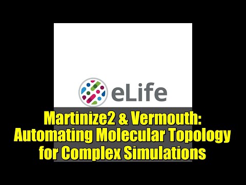 Martinize2 & Vermouth: Automating Molecular Topology for Complex Simulations