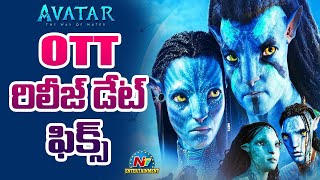 OTT రిలీజ్ డేట్ ఫిక్స్ | Avatar 2 | Movie Mixture | NTV ENT