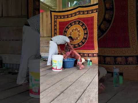 Lessons in Kambo: Simplicity, Softness, and the Power of Subtle Medicine  #kambo  #kambomedicine