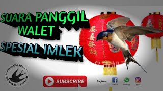 Download lagu SUARA WALET GELOMBANG ALPHA - SPESIAL IMLEK mp3 Download lagu SUARA WALET GELOMBANG ALPHA - SPESIAL IMLEK mp3