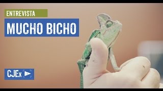 CJEX: Somos MuchoBicho