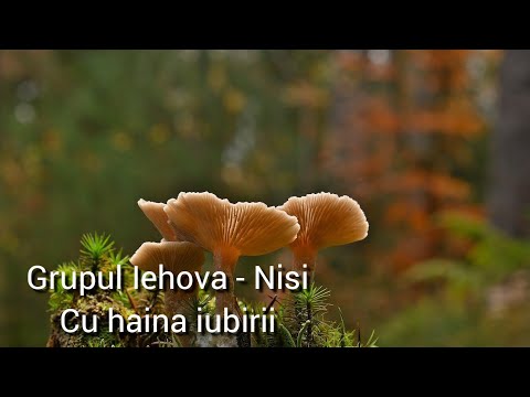 💞Grupul Iehova - Nisi - Cu haina iubirii