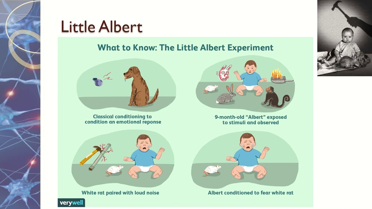 Behavioural Approach to Explaining Phobias