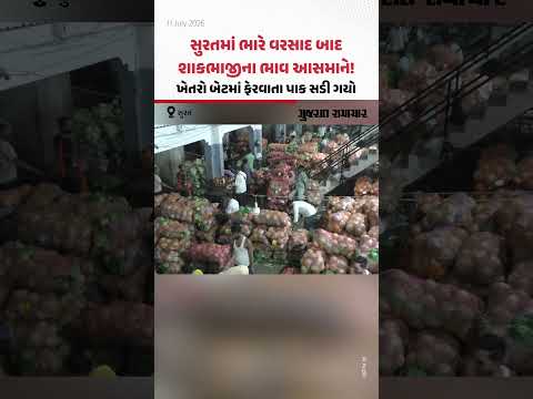 Surat Rain: સુરતમાં મોંઘવારીનો ડામ! ભારે વરસાદના લીધે ખેતરો બેટમાં ફેરવાયા, શાકભાજીના ભાવ આસમાને Surat Rain: સુરતમાં મોંઘવારીનો ડામ! ભારે વરસાદના લીધે ખેતરો બેટમાં ફેરવાયા, શાકભાજીના ભાવ આસમાને