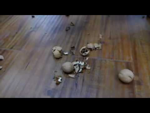 Nokia 6 Still Hard or Not?