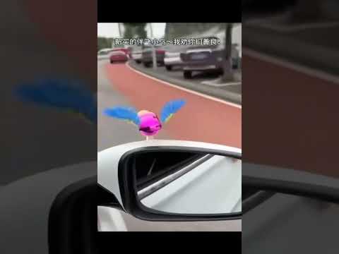 Car Dashboard Decorative Flying Bird with Suction Cup Premium Metallic Finish Colorful Wings