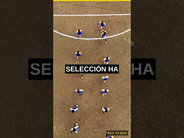 Vídeo relacionado con BDEPSTR 1Ud Bufanda Bandera Francia 60 * 7,5cm, Azul Blanco Rojo Bufanda Francesa para Aficionados Fútbol Mundial, Eventos Deportivos
