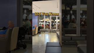 Family Harbor Suite Guests Get Special Privileges on the Carnival Panorama #travel #family #shorts