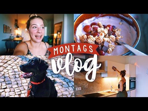 MONTAGSVLOG - Patenhund, Putzen, Kochen, Urlaubsplanung 2020, Lernen für die Uni // JustSayEleanor