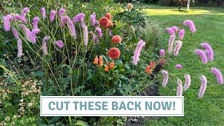 How to Prune Hydrangeas, Dogwoods & Grasses For Maximum Impact // Cottoverdi