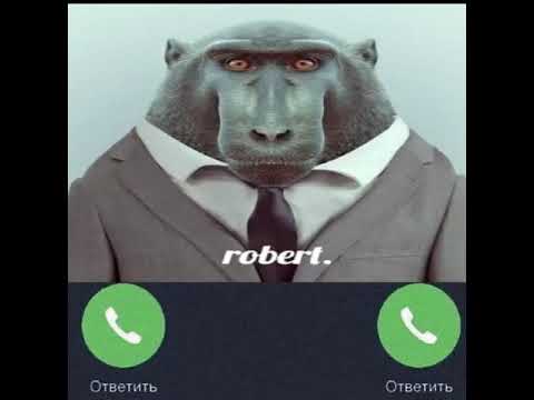 Обезьяна звонок мем