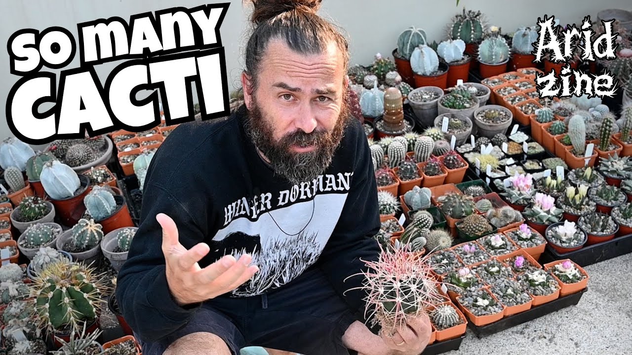 I Adopted a Massive Cactus Collection & the Ferocacti Got Violent