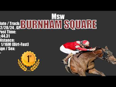 MAGICAL Burnham Square 2025 Kentucky Derby 2025 Kentucky Derby Video Past Performances All Races