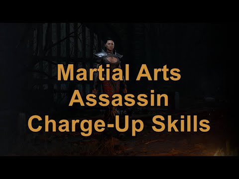 [D2R][2.4] Understanding the Charge-Up Skills for the Martial Arts Assassin