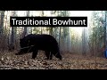 Traditional Bowhunting Black Bears