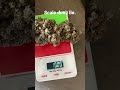 10g nug