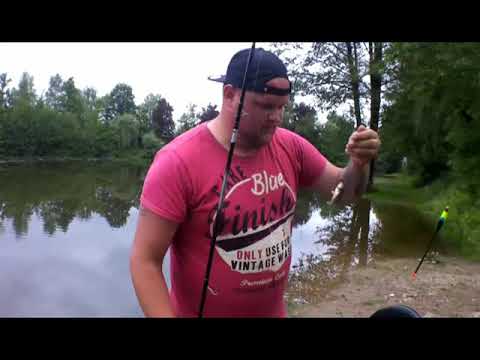 Karpfen mit der Matchrute