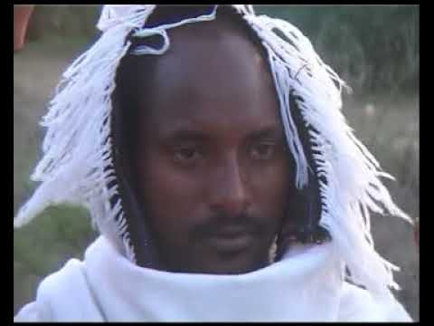 Alemayehu Hafte Abo gereb new tigrigna raya music   YouTube