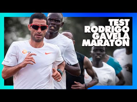 TEST de RODRIGO GAVELA para el MARATON ⏱ Consultorio 611