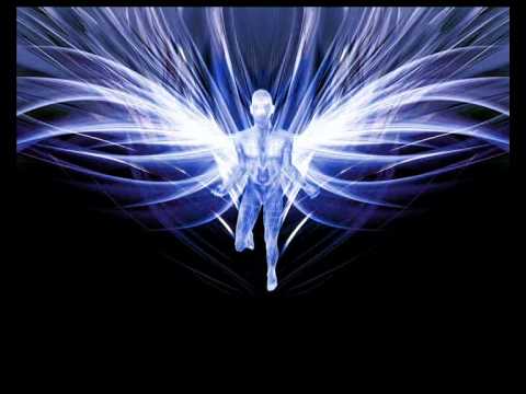 Sygnals - Self-Restrained Angel