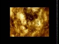 Future Prophecies - Warlords Rising