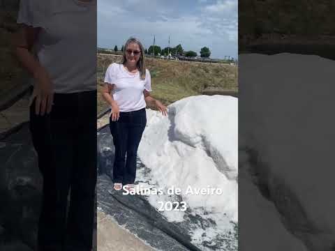 Salinas de Aveiro #portugal #drbarbosa