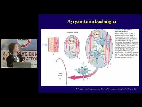 11 bagisiklama tipleri