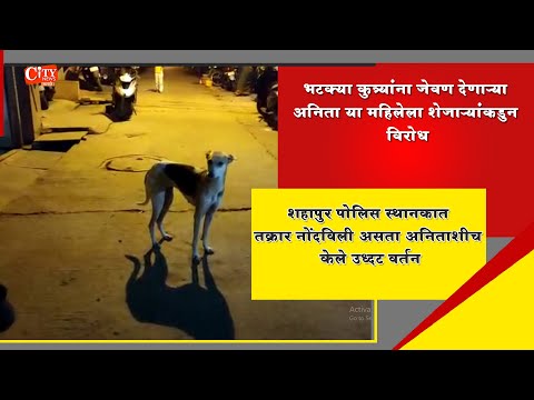 Women Feeding Street Dogs Has Been Harshad By Neighbors