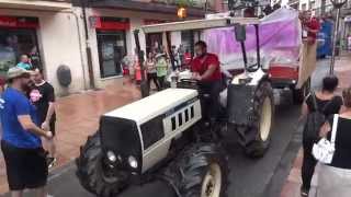 preview picture of video 'Desfile de Santiago y Santa Ana 2014 Grado nº 10'