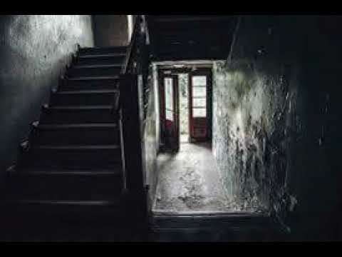 Kojot WS - Lecimy po swoje FT Danek WS PontekDRU