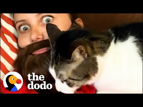 Cat Prefers Dad To Mom — So Mom Starts Wearing Fake Beards | The Dodo Soulmates