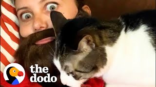 cat prefers dad to mom Video