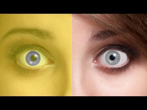 Optical illusions - can you see the real things? Optical illusions - can you see the real things?