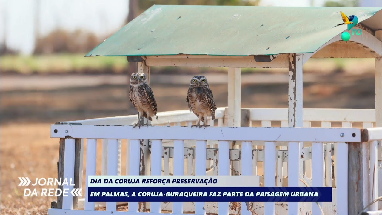 04 de Agosto – Terça