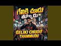 Geliki Chudu Thammudu