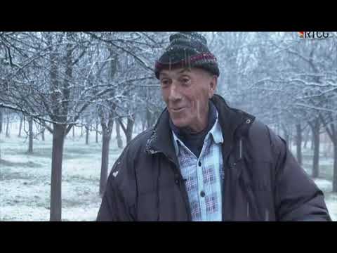 JEDAN OD NAJVECIH PROIZVODJACA VOCA NA SJEVERU