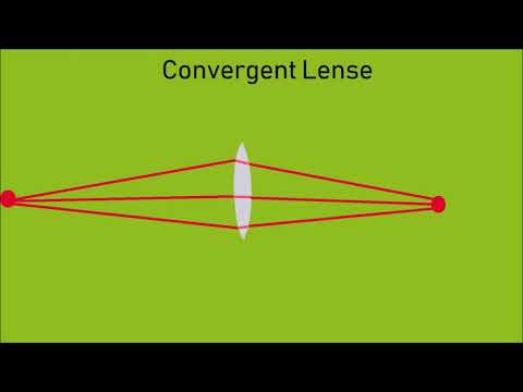 Focusing Light: The Eye and the Camera
