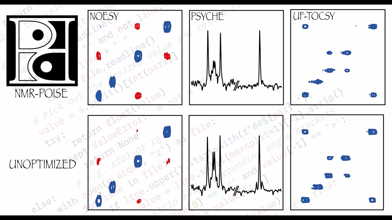 NMR-POISE: video overview
