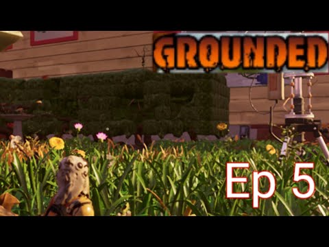 Getting the Hedge Super Chip!! (Grounded) Episode 5
