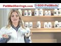 How To Select The Right Dog Toothpaste Tips Information