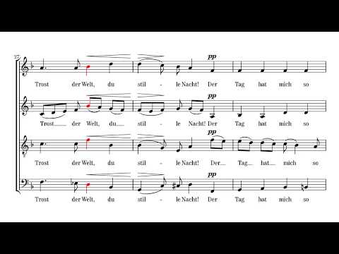 Hugo Wolf: Resignation [Score Video] - Tenors emphasized