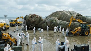 They Buried Him for 1,000 Years… BIG Mistake. The Troll Has Returned