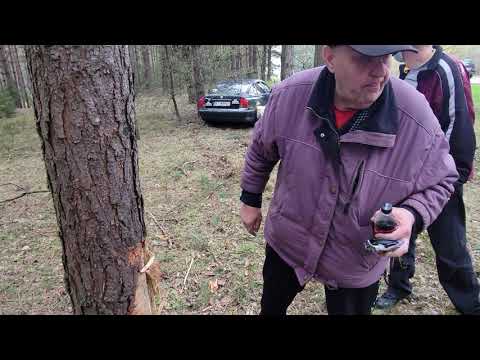 Kononowicz's first comment after the incident