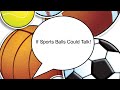 If Sports Balls Could Talk