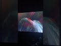 Finding Nemo Whale Tongue