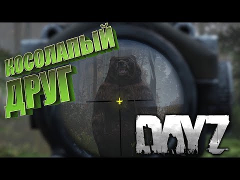 Приняли в семью. Моя первая встреча с Косолапым мишкой - Ливония DayZ