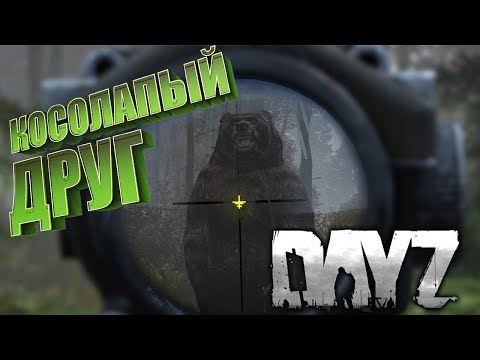 Приняли в семью. Моя первая встреча с Косолапым мишкой - Ливония  DayZ