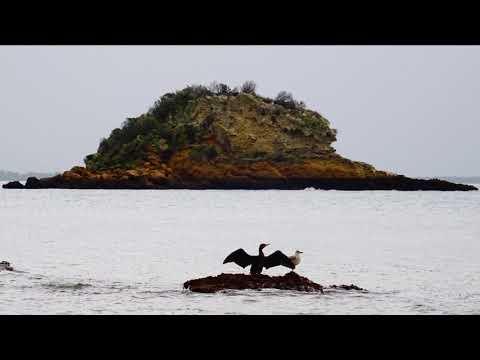 Island by MBB - Images Of Anicha Stone - ( Portinho Da Arrabida Beach, Setubal)
